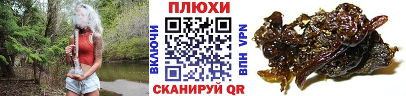 ГАШ Premium  Сосновоборск 