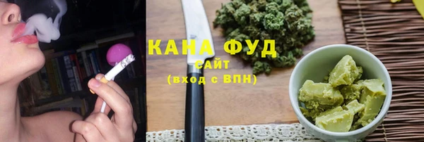 молекула духа Нязепетровск