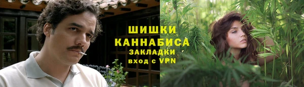 тгк Няндома