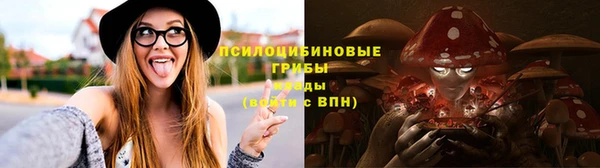 тгк Няндома