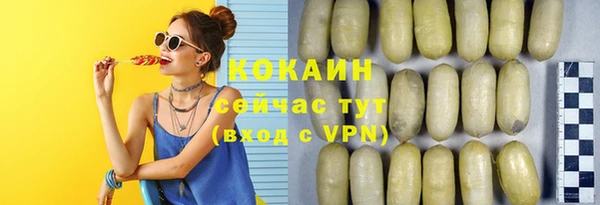 тгк Няндома