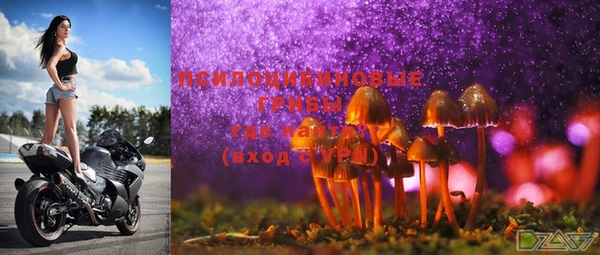 тгк Няндома