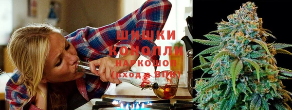 молекула духа Нязепетровск