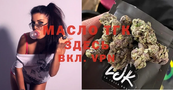 тгк Няндома